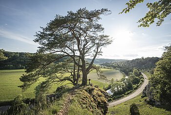 Yoga auf den Zwölf Aposteln bei Solnhofen Frau sitzt unter großem Baum auf Felsen mit Blick auf Fluss, Straße und grüne Landschaft bei Sonnenschein.