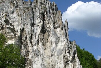 Dohlenfelsen bei Konstein Felsformation mit steiler weiß-grauer Oberfläche, davor Wiese, Bäume und Verkehrsschilder bei blauem Himmel.